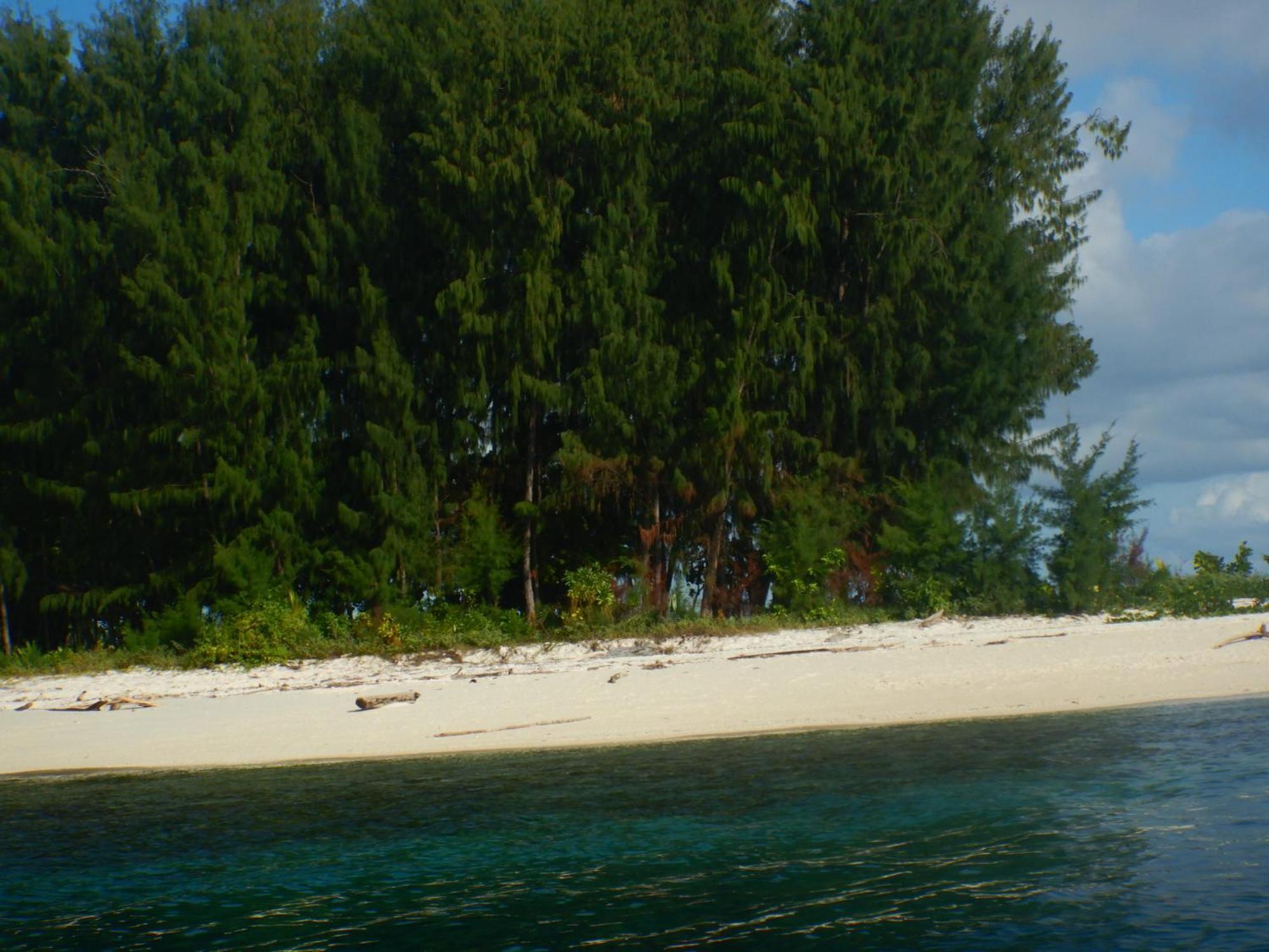 Raja Ampat Blue Sea Villa Besir ภายนอก รูปภาพ